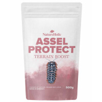 NatureHolic Assel Protect TerrainBoost - für die Bodenverbesserung im Asselterrarium 500g
