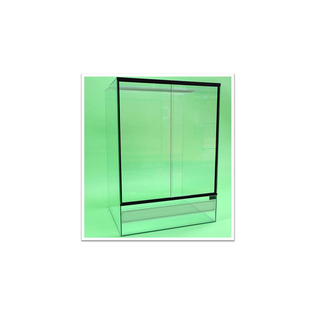 Phelsumen-Terrarien 35 x 35 x 50 cm