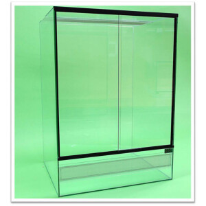 Phelsumen-Terrarien 100 x 50 x 80 cm