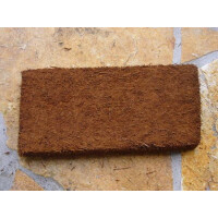 Xaximplatte  10x25x2 cm