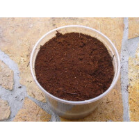 Xaximstreu aus Neuseeland 500ml Dose