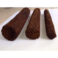 Xaximstamm rund 50x5cm (1 Stück)