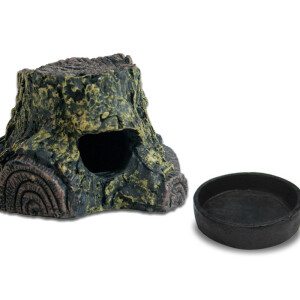 Lucky Reptile Frog Cave