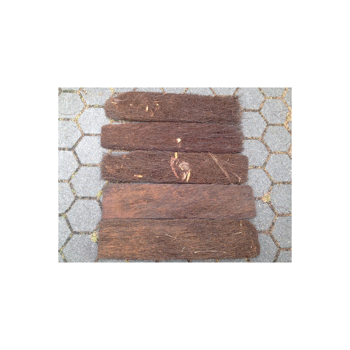 1 Quadratmeter Xaxim aus Südamerika