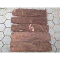 1 Quadratmeter Xaxim aus Südamerika