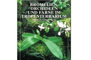 Bromelien, Orchideen und Farne im Tropenterrarium