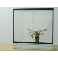 Angebot Dendrobaten Terrarium 50x50x50cm
