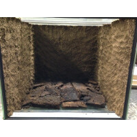 Angebot Dendrobaten Terrarium 50x50x50cm