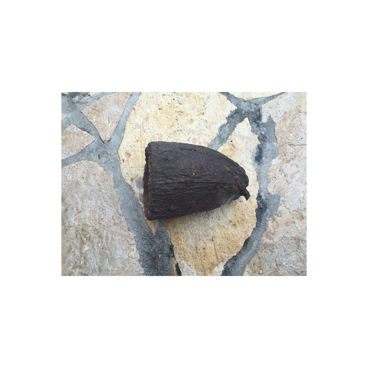 Echte halbe Kakaoschale