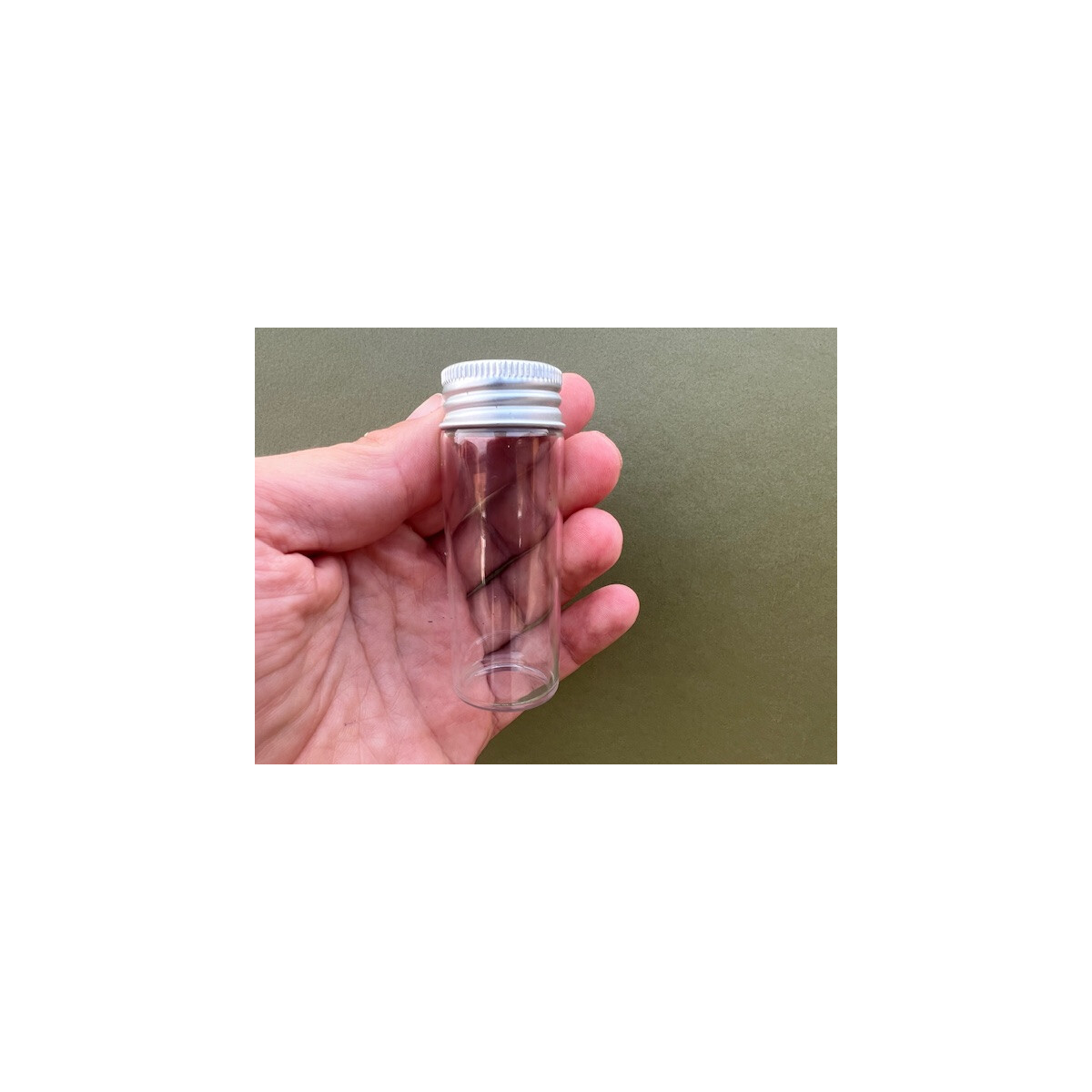 Dose zum fangen von Fröschen oder kleinen Geckos