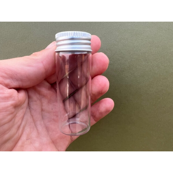 Dose zum fangen von Fröschen oder kleinen Geckos