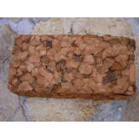 Kokos für die Springschwanzzucht 4,5 Liter