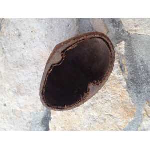 Palmschale ca. 4-7cm