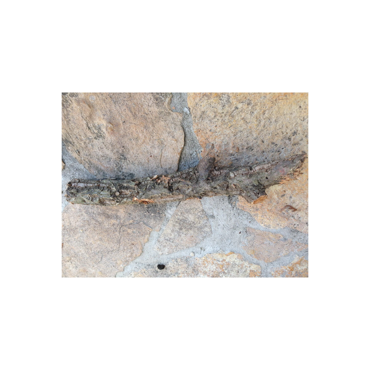 Naturkorkast (Vollholz) ( 20-30cm )