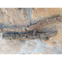 Naturkorkast (Vollholz) ( 20-30cm )