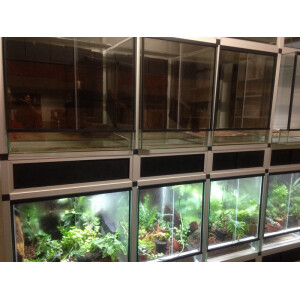 Terrarienanlage in allen Größen lieferbar