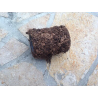 Filmdosenhalter beflockt für Pfeilgiftfrösche