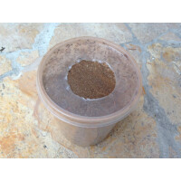 Drosophila gross (1000 ml Dose)