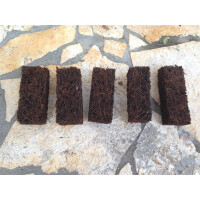 5 Xaximplatten zum aufbinden oder dekorieren im Terrarium 4x3x10