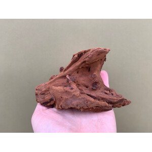 Mangrovenwurzel klein ca. 15-20cm