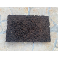 Xaximplatte aus Südamerika 30x18x1cm