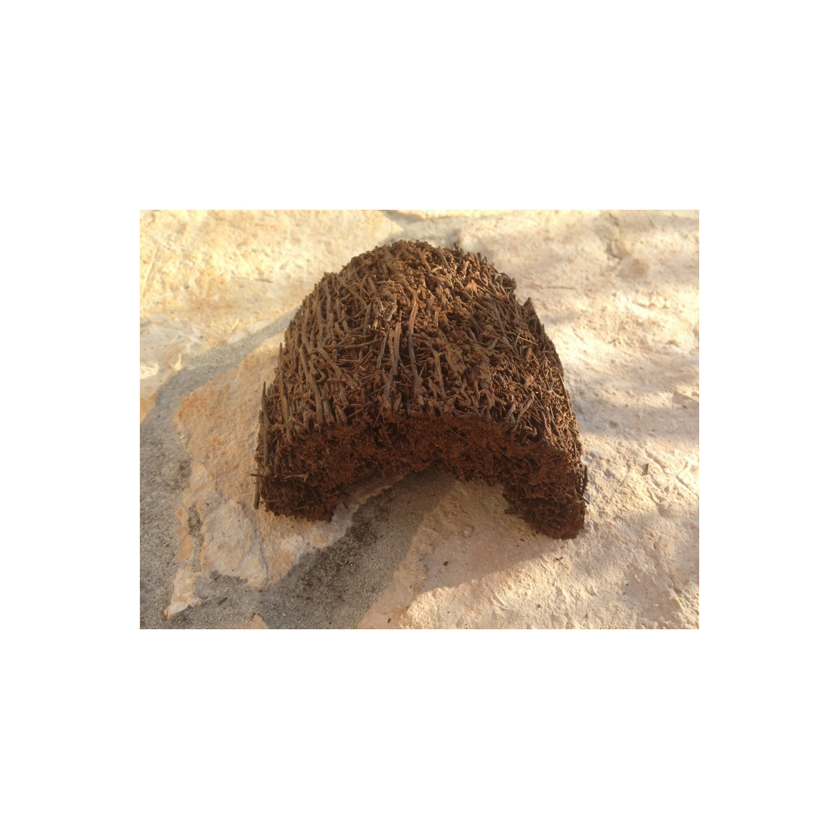 Xaximhöhle S aus Neuseeland (ca.12x9cm)