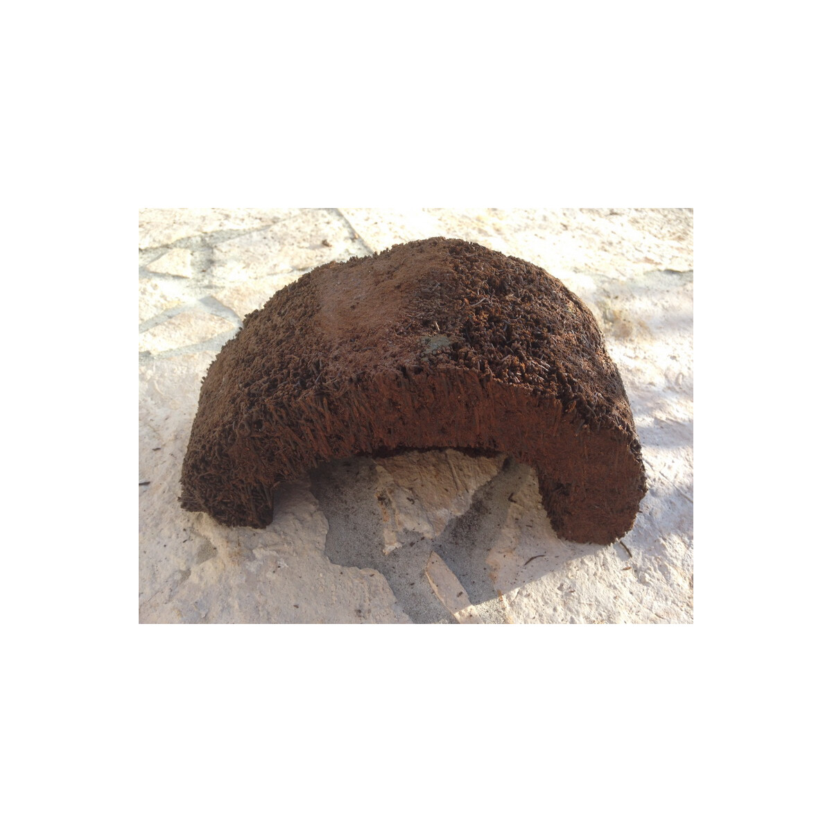 Xaximhöhle (L) aus Neuseeland ca.19x10x14 (LxBxH) - beg