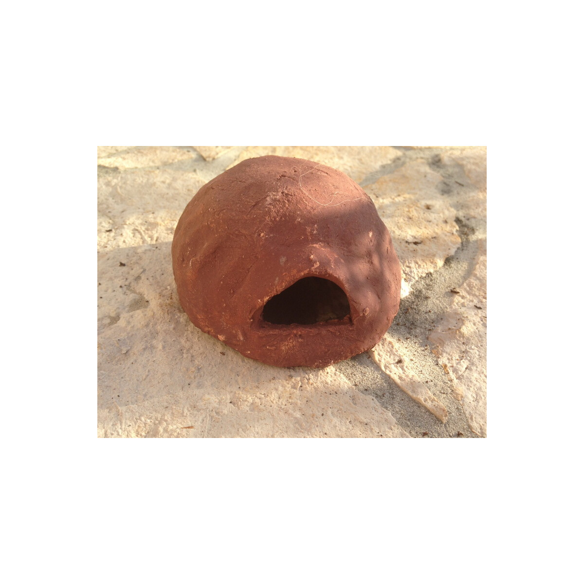 Laichhäuschen rund aus Ton für Pfeilgiftfrösc