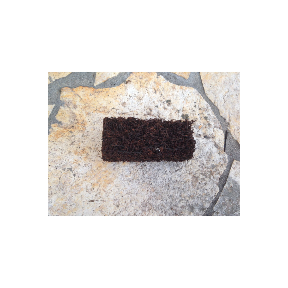 Xaximplatte zum aufbinden oder dekorieren im Terrarium 4x3x1