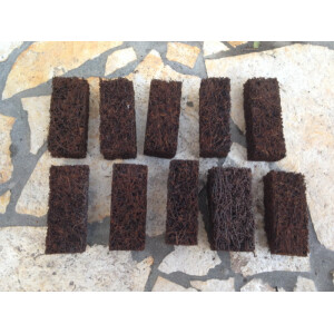 Xaximplatte zum aufbinden oder dekorieren im Terrarium 4x3x10cm