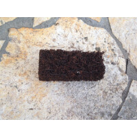 Xaximplatte zum aufbinden oder dekorieren im Terrarium 4x3x10cm