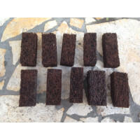 Xaximplatte zum aufbinden oder dekorieren im Terrarium 4x3x10cm